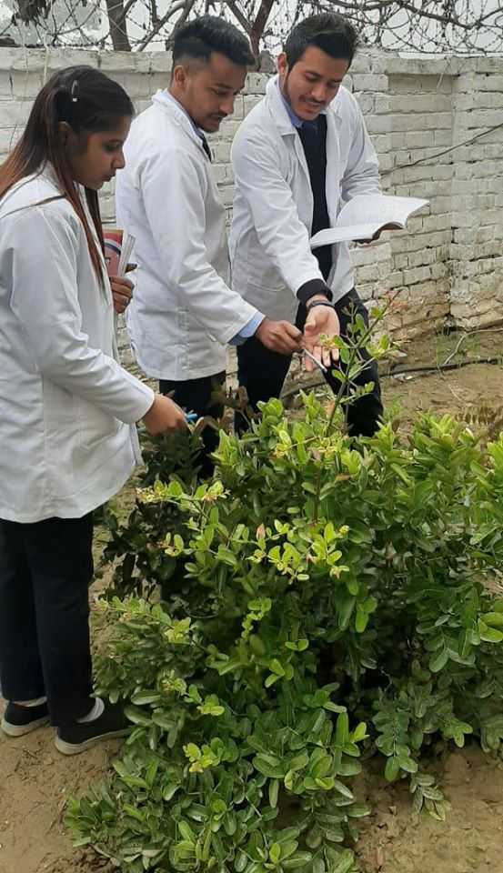 Garden Tour - Geeta Pharmacy College