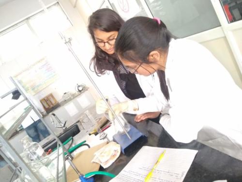 GIP pharmacy college in Delhi- Pharmaceutical Chemistry Lab