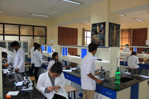 Human Anatomy and Physiology lab
